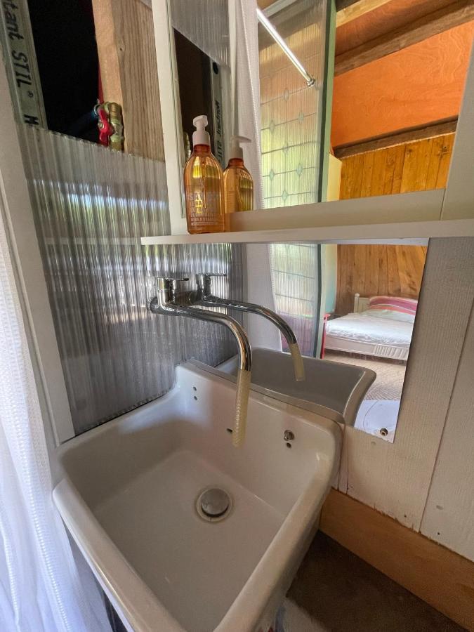 Jolie Cabane Avec Jacuzzi Pour Les Amoureux De La Nature Tullins Экстерьер фото